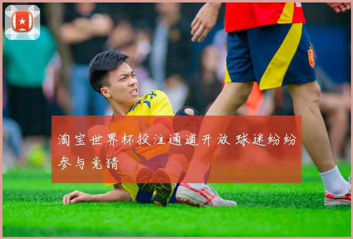 淘宝世界杯投注通道开放 球迷纷纷参与竞猜