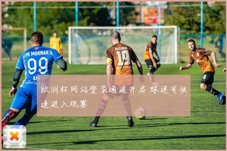 欧洲杯网站登录通道开启 球迷可快速进入观赛
