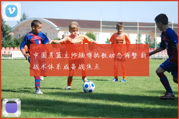 中国男篮主帅杨鸣执教动态调整 新战术体系成备战焦点