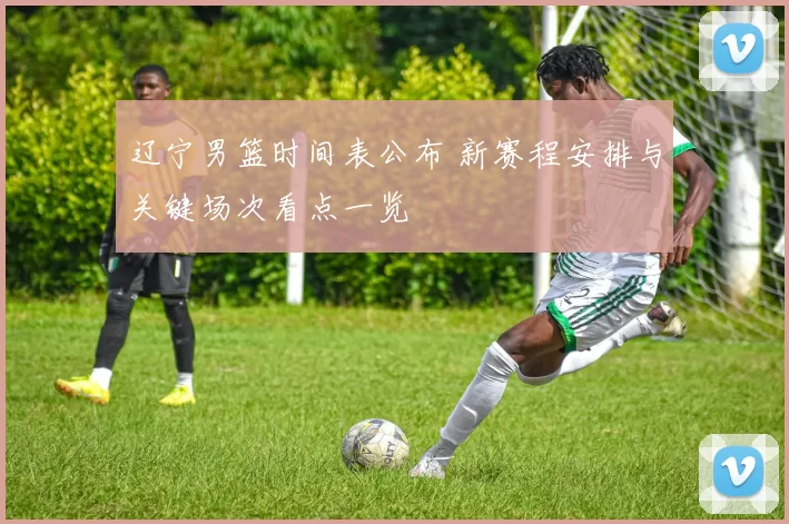辽宁男篮时间表公布 新赛程安排与关键场次看点一览