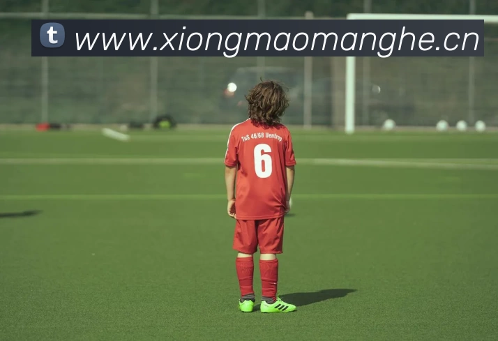 九游网页版登录入口 - 九游(中国)平台生态图